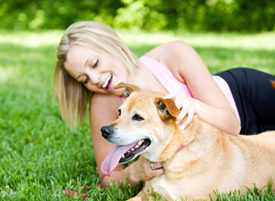 Pets on the Caravan Park