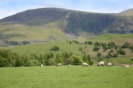 Our caravan park is very close to the Lake District