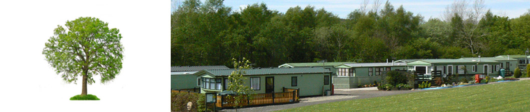 Woodside Caravan Park Cumbria